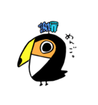オオハシです。（個別スタンプ：31）
