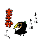 オオハシです。（個別スタンプ：36）