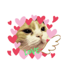 猫のヒナくぅちゃん①（個別スタンプ：3）