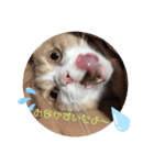 猫のヒナくぅちゃん①（個別スタンプ：4）