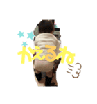 ∩^ω^∩（個別スタンプ：8）