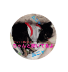 NA2＆たまにjaynaとryan（個別スタンプ：13）