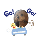 ぷぅちゃん1（個別スタンプ：4）