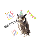 フクロウあずきver.1.0（個別スタンプ：4）