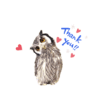 フクロウあずきver.1.0（個別スタンプ：5）