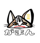 令猫の会話 Part 2（個別スタンプ：40）