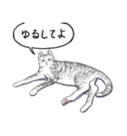 いいネコキャット5（日本語版）（個別スタンプ：8）