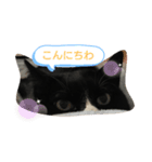 のら子が挨拶（個別スタンプ：5）