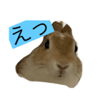 殿下さん（個別スタンプ：2）