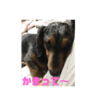 ゆずきち レアな はなぺい スタンプ☆（個別スタンプ：2）