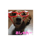 ゆずきち レアな はなぺい スタンプ☆（個別スタンプ：4）