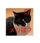 ちぃちぃみやちゃんのスタンプ（個別スタンプ：3）