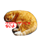ちぃちぃみやちゃんのスタンプ（個別スタンプ：5）