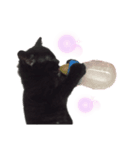 黒猫のもふ（個別スタンプ：1）
