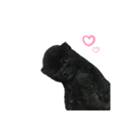 黒猫のもふ（個別スタンプ：3）