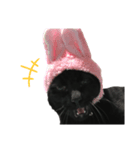 黒猫のもふ（個別スタンプ：4）