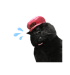 黒猫のもふ（個別スタンプ：5）