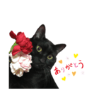 黒猫のもふ（個別スタンプ：6）