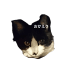 我が家のごまち⑤（個別スタンプ：1）