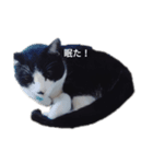 我が家のごまち⑤（個別スタンプ：2）