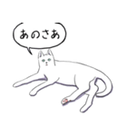 いいネコキャット白猫詰合せ.（日本語版）（個別スタンプ：7）
