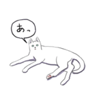 いいネコキャット白猫詰合せ.（日本語版）（個別スタンプ：8）