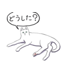 いいネコキャット白猫詰合せ.（日本語版）（個別スタンプ：9）