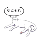いいネコキャット白猫詰合せ.（日本語版）（個別スタンプ：12）