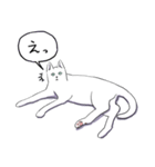 いいネコキャット白猫詰合せ.（日本語版）（個別スタンプ：13）