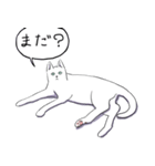 いいネコキャット白猫詰合せ.（日本語版）（個別スタンプ：14）
