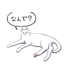 いいネコキャット白猫詰合せ.（日本語版）（個別スタンプ：15）