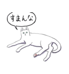 いいネコキャット白猫詰合せ.（日本語版）（個別スタンプ：17）