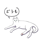 いいネコキャット白猫詰合せ.（日本語版）（個別スタンプ：20）