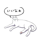 いいネコキャット白猫詰合せ.（日本語版）（個別スタンプ：29）
