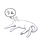 いいネコキャット白猫詰合せ.（日本語版）（個別スタンプ：30）