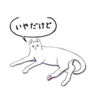 いいネコキャット白猫詰合せ.（日本語版）（個別スタンプ：36）
