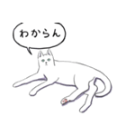 いいネコキャット白猫詰合せ.（日本語版）（個別スタンプ：38）