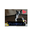 弁慶♡（個別スタンプ：4）