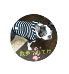 弁慶♡（個別スタンプ：5）