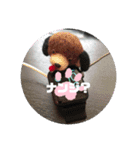 ぱぴぷペロちゃん（個別スタンプ：3）