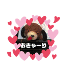 ぱぴぷペロちゃん（個別スタンプ：4）