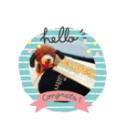 ぱぴぷペロちゃん（個別スタンプ：5）