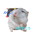 サンタみるく（個別スタンプ：1）