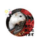 サンタみるく（個別スタンプ：4）