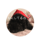 Chiroru.01（個別スタンプ：3）