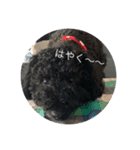 Chiroru.01（個別スタンプ：7）