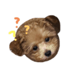 ViViちゃんのすたんぷ（個別スタンプ：1）