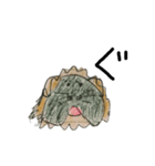 モルモットのオレオ君（個別スタンプ：1）