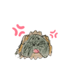 モルモットのオレオ君（個別スタンプ：3）