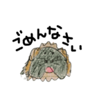 モルモットのオレオ君（個別スタンプ：6）